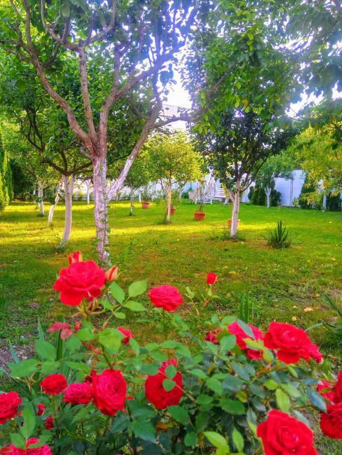 Apartmani Jasmina 2 Bihać Dış mekan fotoğraf