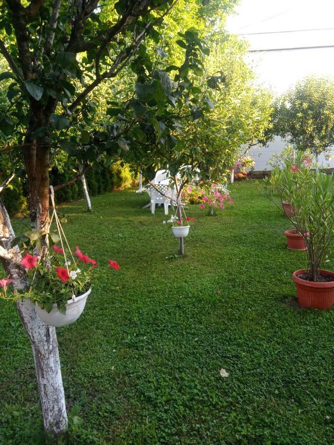 Apartmani Jasmina 2 Bihać Dış mekan fotoğraf